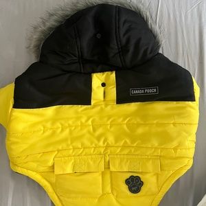 NWT Canada Pooch True North Parka in Yellow Size 16